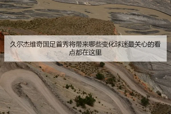久尔杰维奇国足首秀将带来哪些变化球迷最关心的看点都在这里